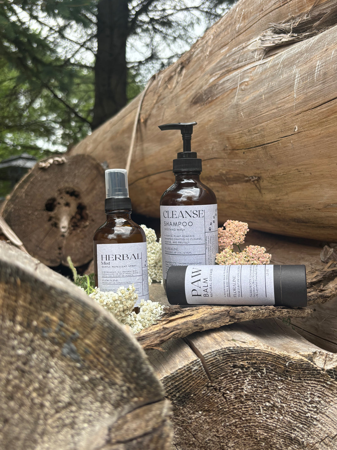 Pack Sentiers et Pattes