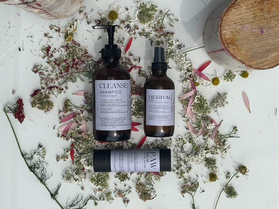 Pack Sentiers et Pattes