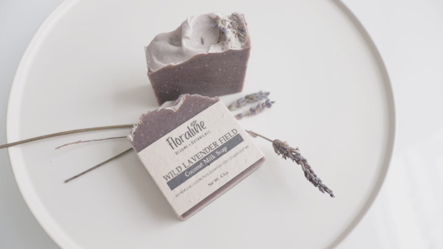 Champ de lavande sauvage