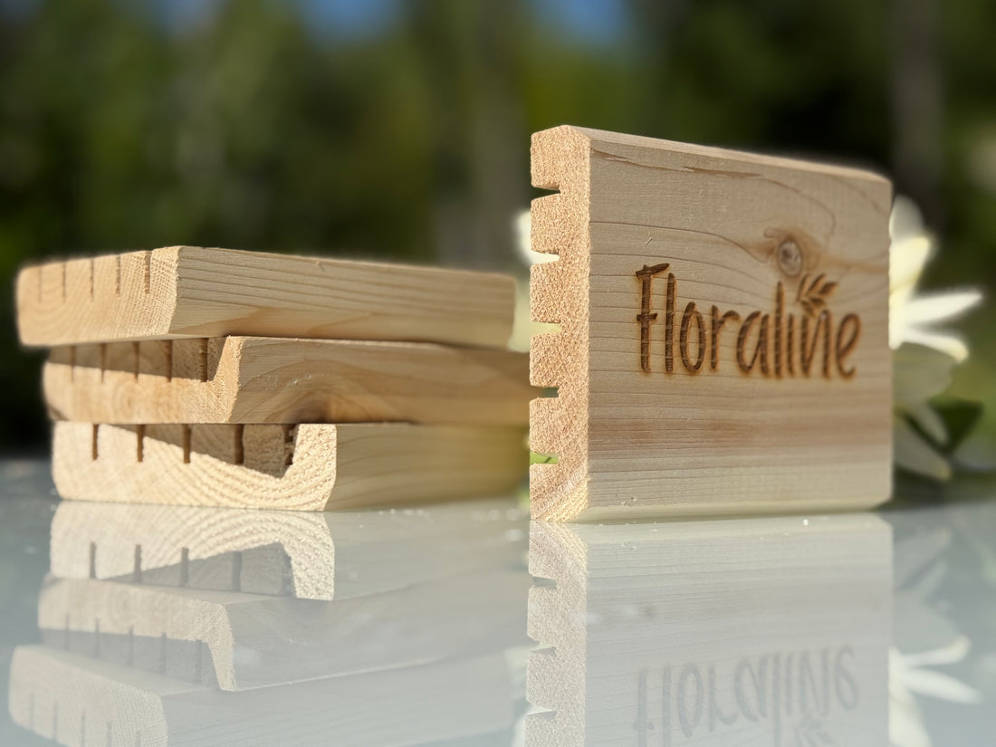 Handcrafted Canadian Cedar Soap Dish