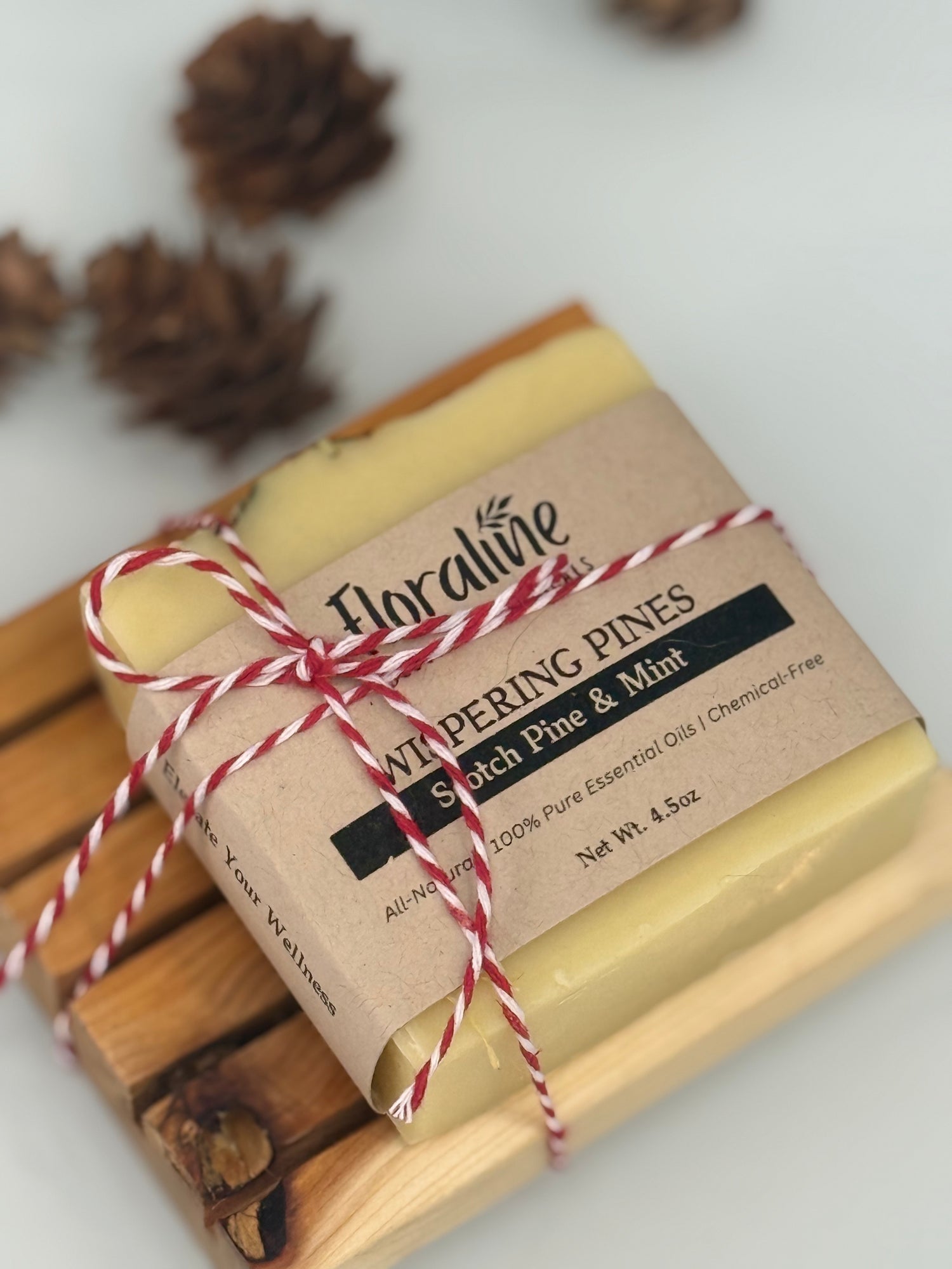 The Christmas Soap Gift Kit